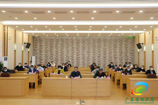 省林业局组织召开全省油茶生产调度视频会议